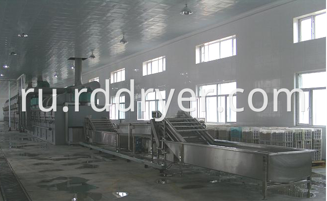 High Output Mesh Belt Drying Equipment